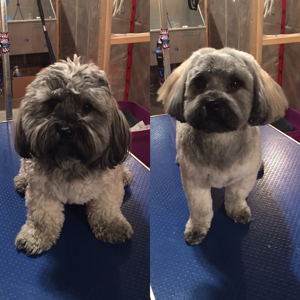 Auntie Ms Grooming House | 2208 Brightoncrest Green SE, Calgary, AB T2Z 0K2, Canada | Phone: (403) 671-1289