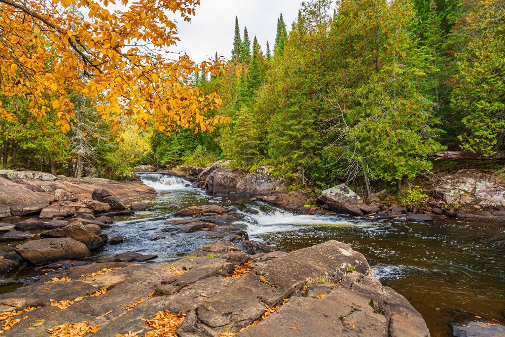 Ritchie Falls | Ritchie Falls Rd, Minden Hills, ON K0M 2K0, Canada | Phone: (800) 461-7677