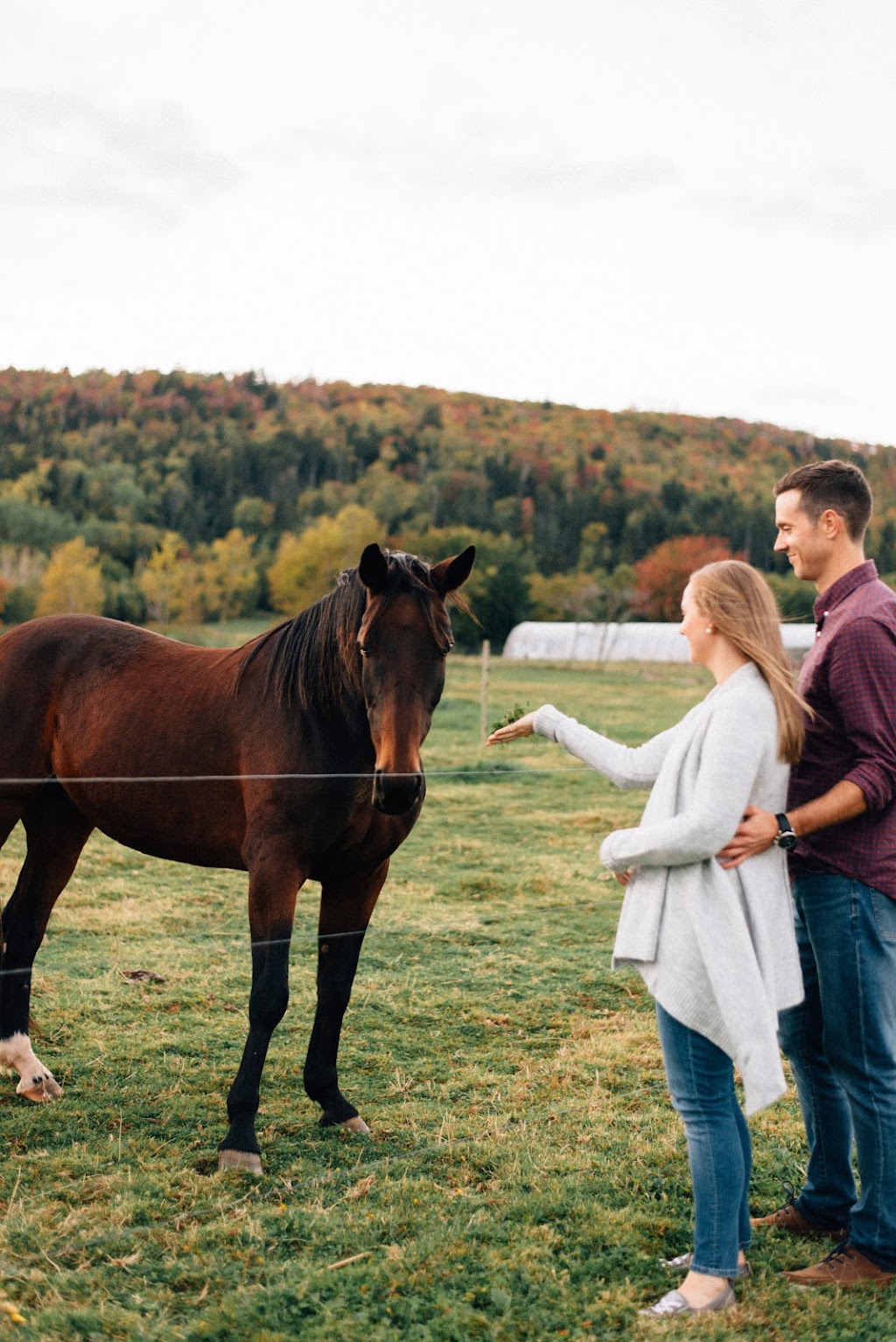 Leslie Estelle Photography | 72 Claudia Crescent, Middle Sackville, NS B4E 0C6, Canada | Phone: (902) 478-8098