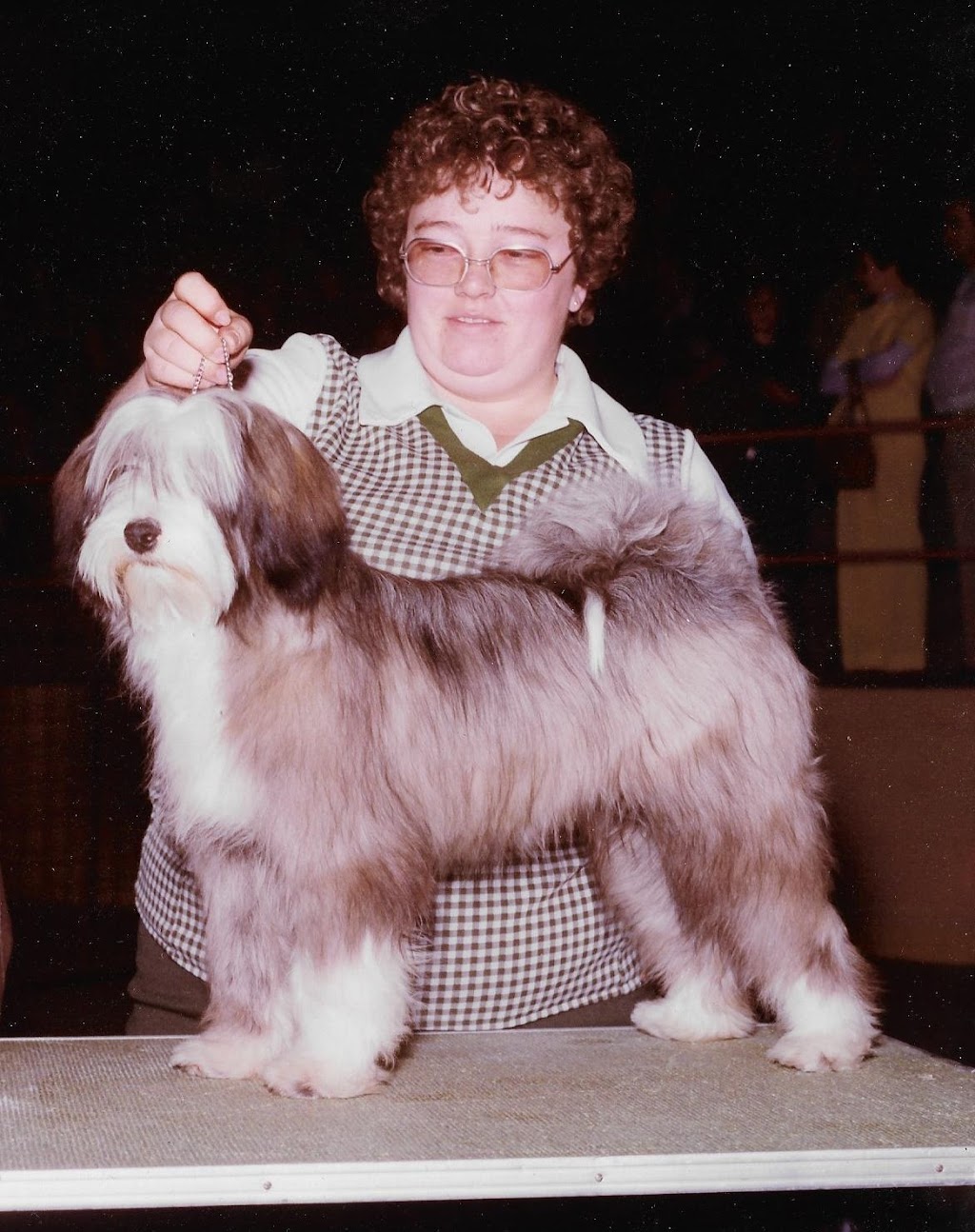 Keidun Dog Grooming | 22501 Wye Rd, Sherwood Park, AB T8C 1H9, Canada | Phone: (780) 467-2068