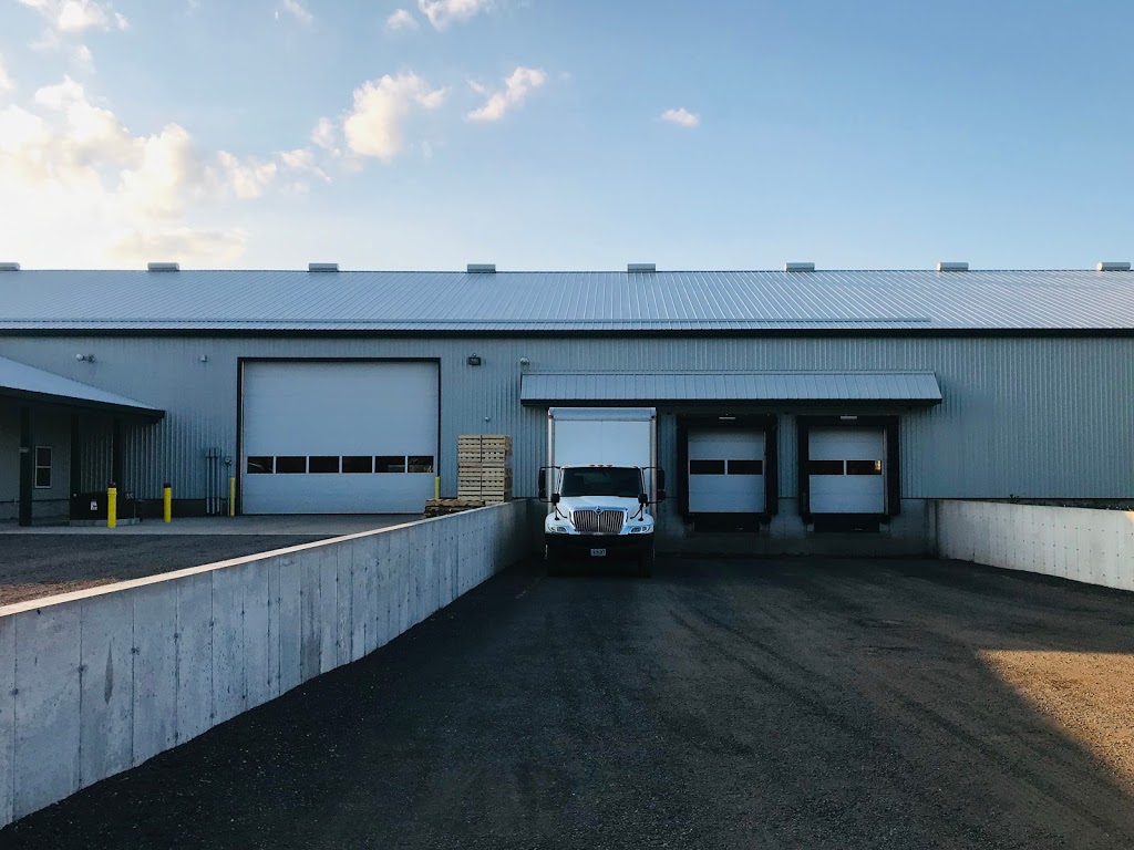 Hanns Farms Limited | 757 Windham Rd 9, La Salette, ON N0E 1H0, Canada | Phone: (226) 970-2268