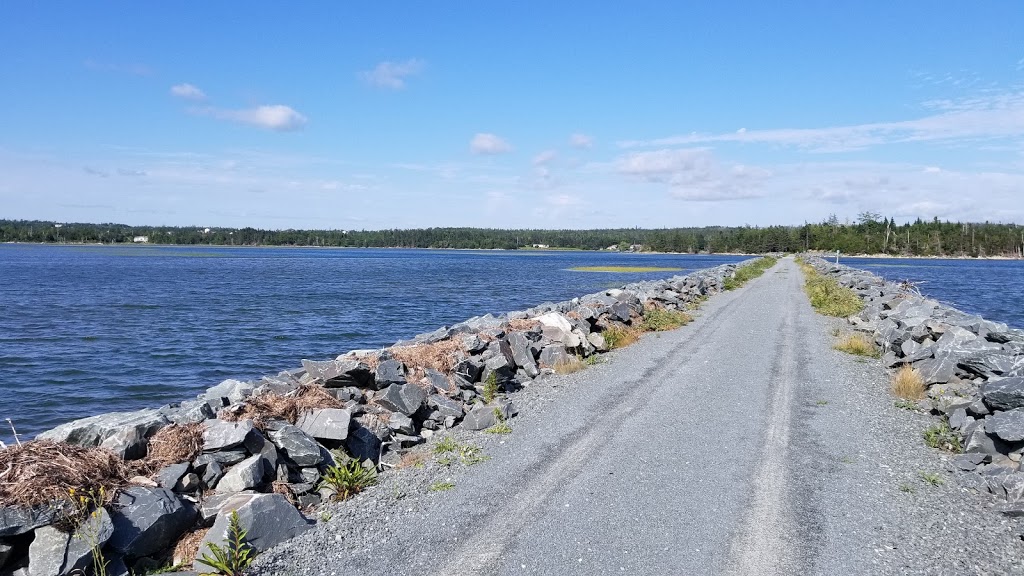 Salt Marsh Trail | Trans Canada Trial, Cole Harbour, NS B2V 2T2, Canada