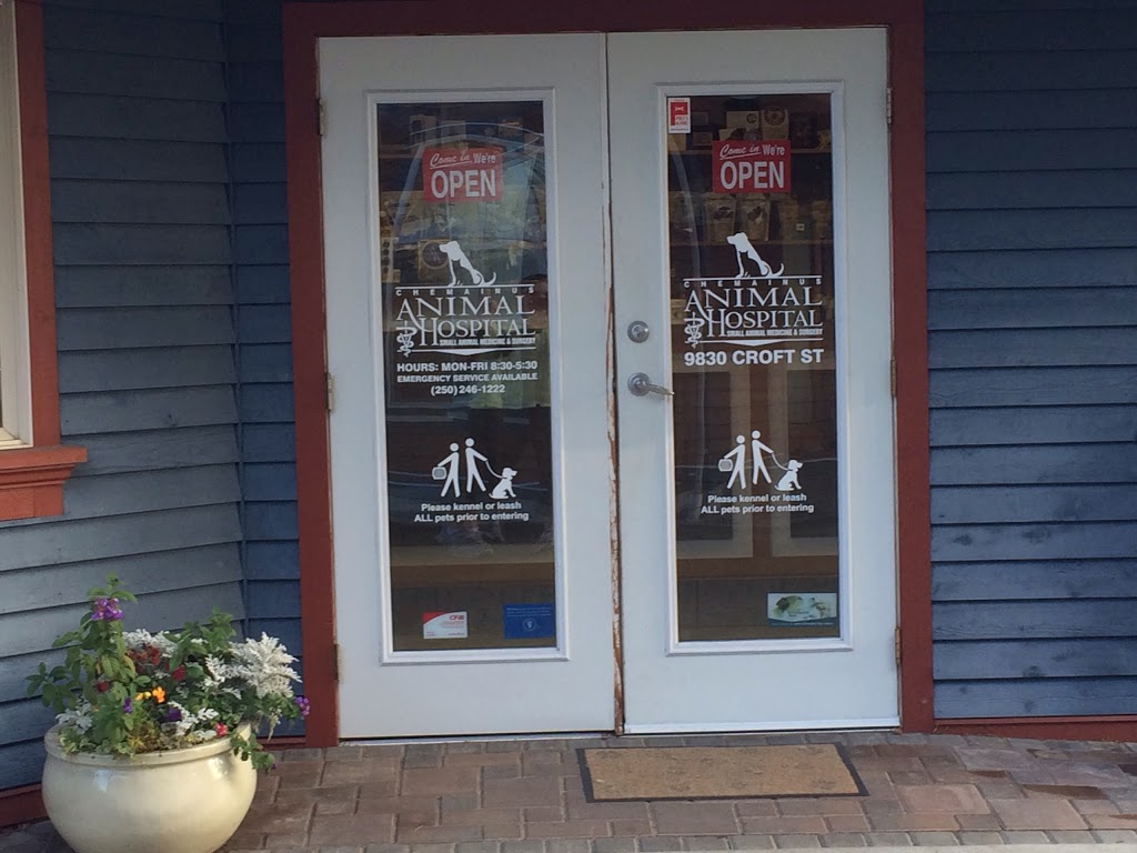 Chemainus Animal Hospital Ltd | 9830 Croft St, Chemainus, BC V0R 1K1, Canada | Phone: (250) 246-1222