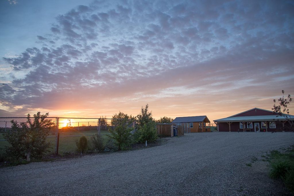 Old MacDonald Kennels | RR 235, Ponoka County, AB T4J 1R1, Canada | Phone: (403) 783-7447