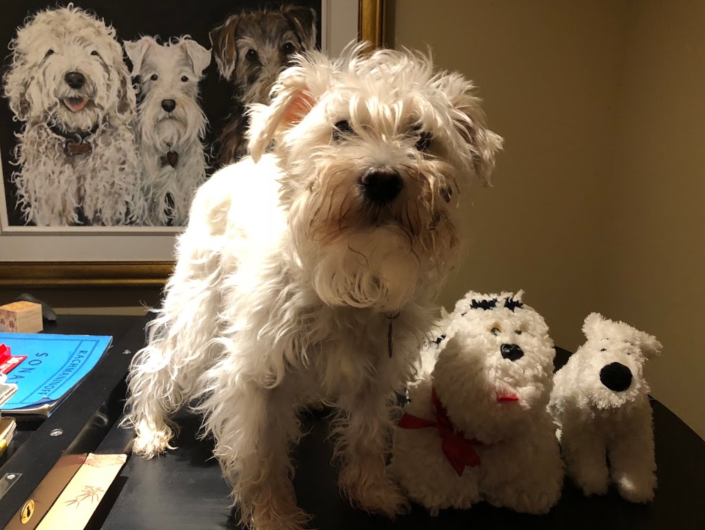 Galerie dArt Béliveau | 314 Rue Principale, Saint-Sauveur, QC J0R 1R0, Canada | Phone: (450) 744-0336
