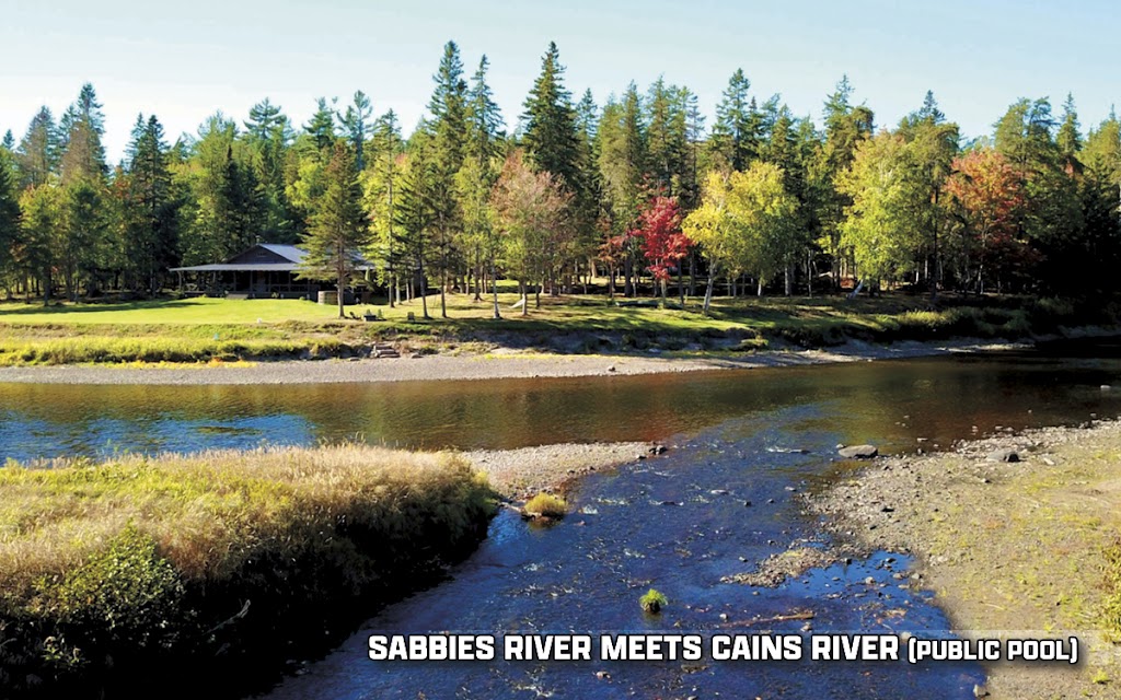 Natures Nest RV Camping | 66 Cook Ln, Blackville, NB E9B 1K4, Canada | Phone: (506) 850-2459