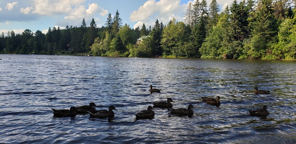 Parc Legault | Rue du Parc, Val-Morin, QC J0T 2R0, Canada
