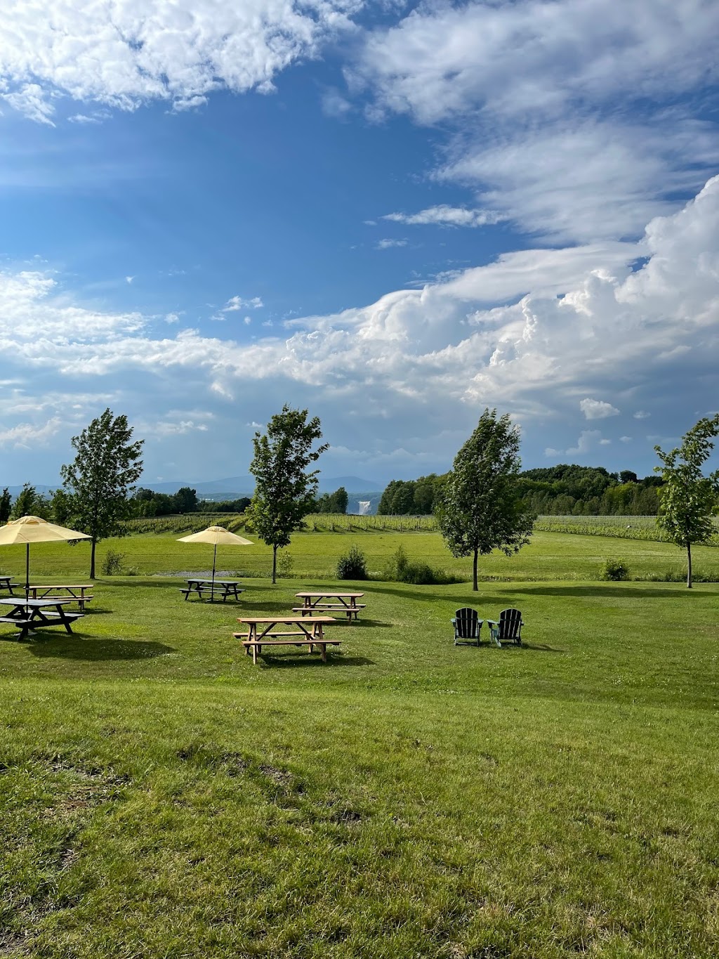 Saint Pierre Le Vignoble | 1007 Chem. Royal, Saint-Pierre, QC G0A 4E0, Canada | Phone: (418) 991-1007