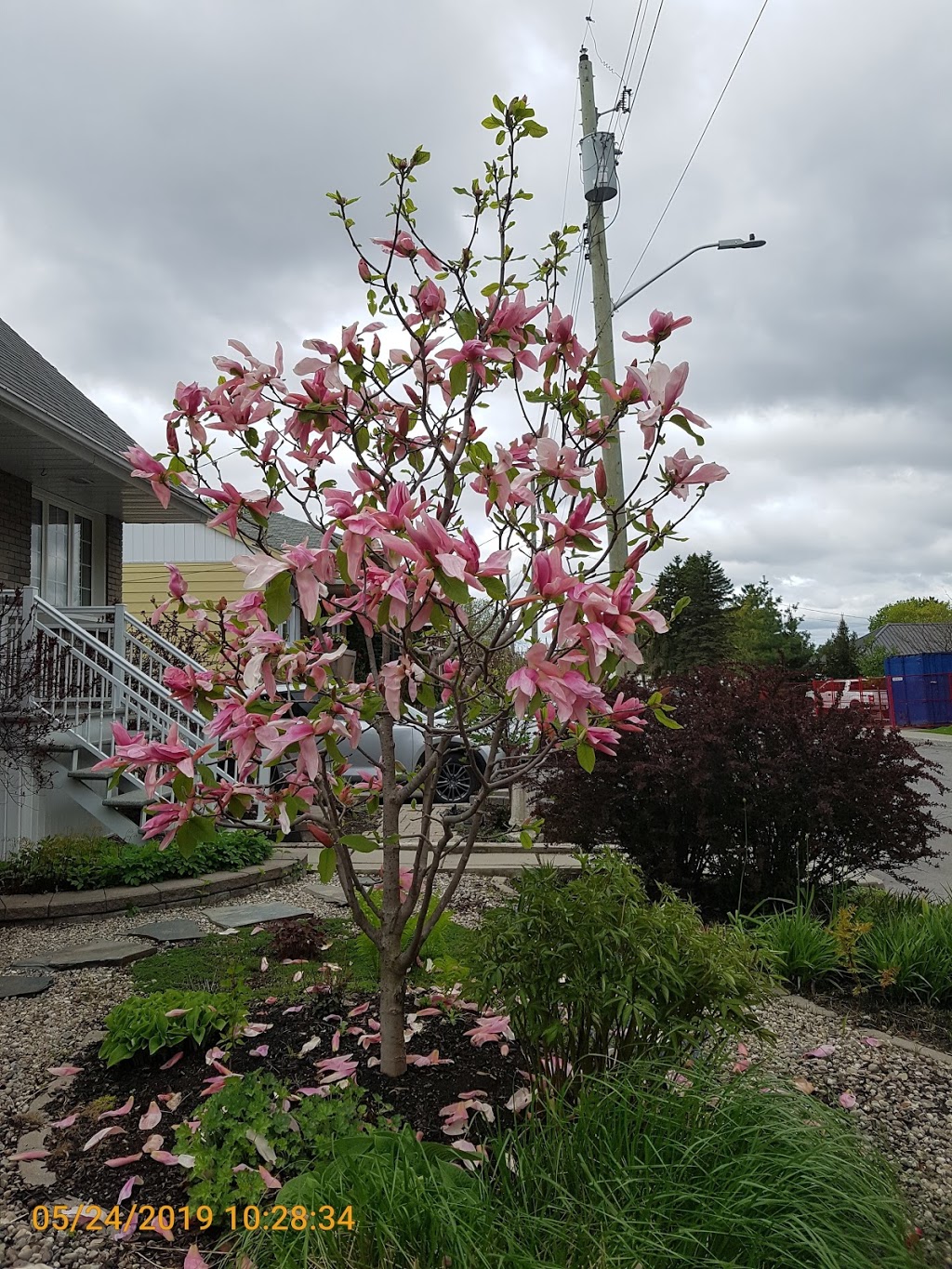 Nault Park | St Denis St, Ottawa, ON K1L 5J1, Canada | Phone: (613) 580-2595