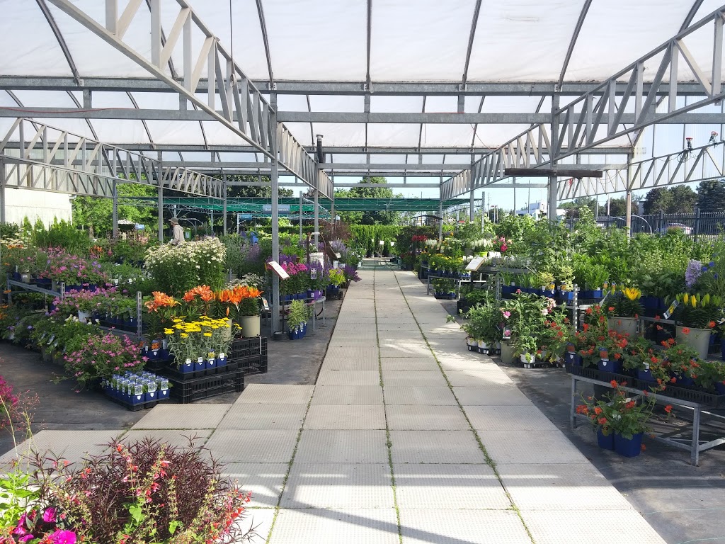 Peter Knippel Nursery & Garden Centre Inc | 4590 Bank St, Gloucester, ON K1T 3W6, Canada | Phone: (613) 822-0383