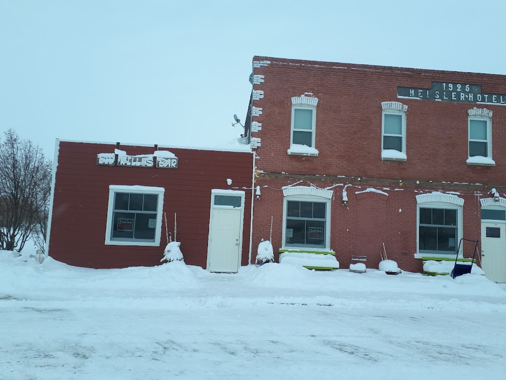 Big Willys Bar at the Heisler Hotel | 103 Main St, Heisler, AB T0B 2A0, Canada | Phone: (780) 889-2220