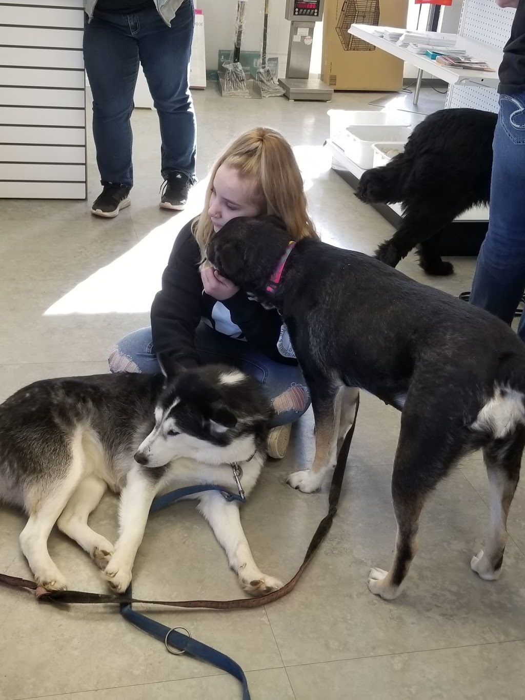 The Pet & Pond Warehouse | 5210 99 St NW, Edmonton, AB T6E 3N7, Canada | Phone: (780) 540-0036
