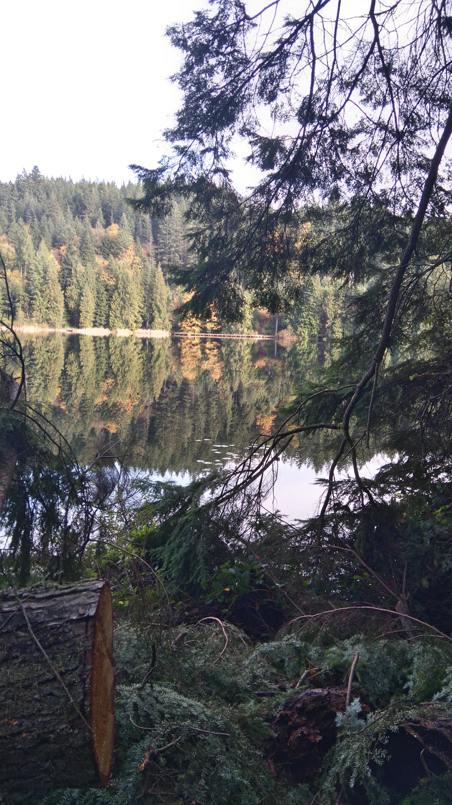 Belcarra Regional Park | Belcarra, BC V3H 4S1, Canada