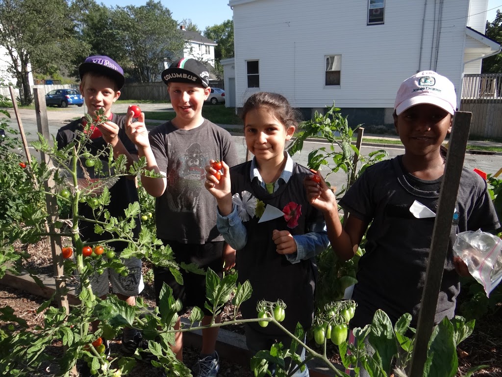 Nourish Nova Scotia | 26 Union St #301, Bedford, NS B4A 2B5, Canada