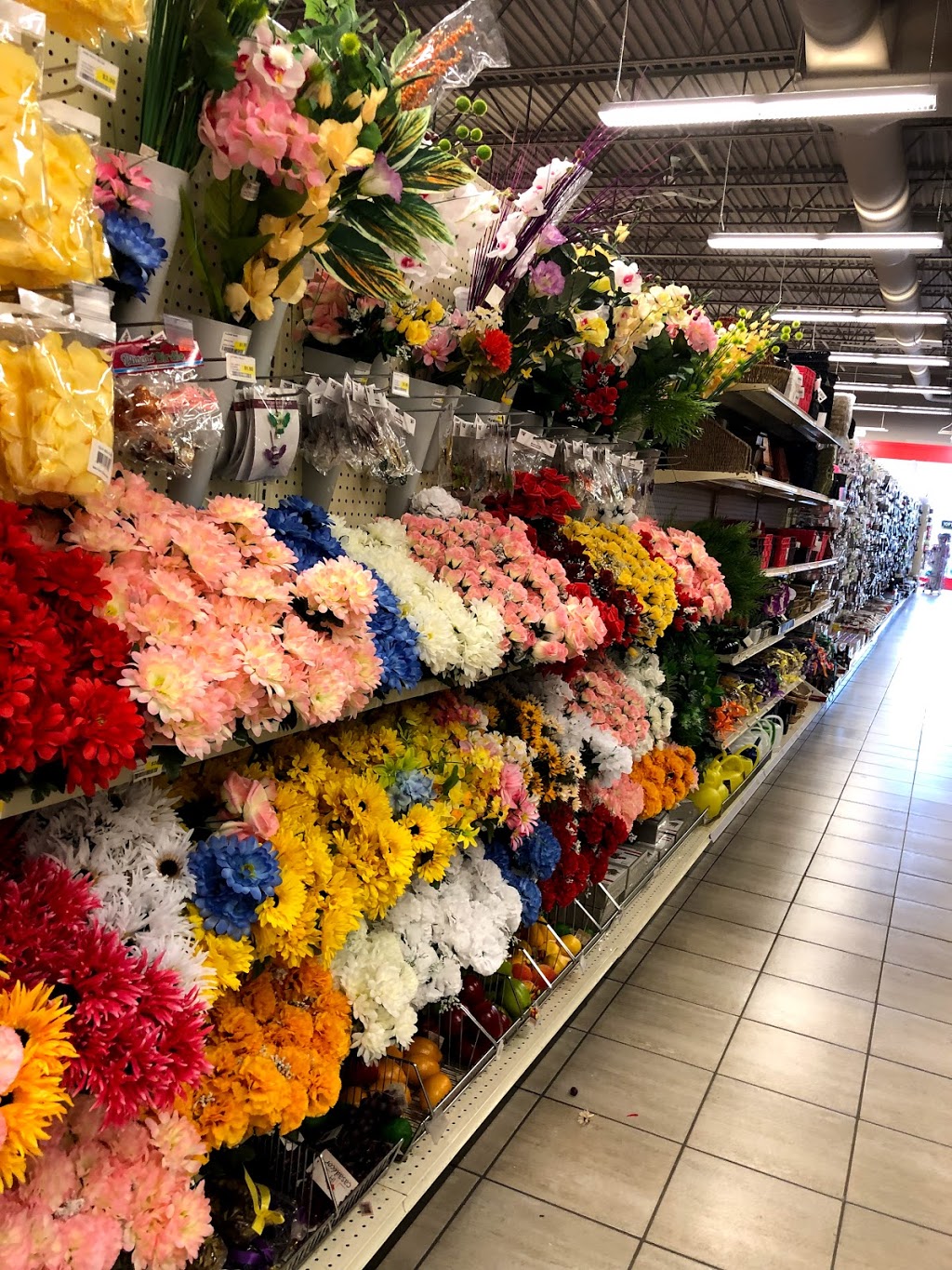 Your Dollar Store With More | 13715 42 St NW, Edmonton, AB T5Y 3E1, Canada | Phone: (587) 497-9924