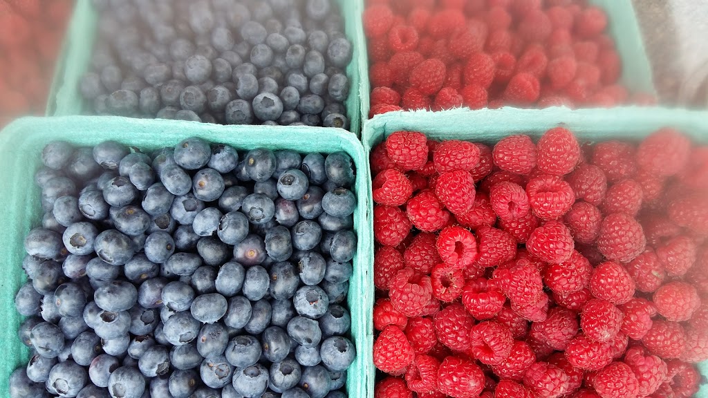 Berry Bounty Farms | 48260 Chilliwack Central Rd, Chilliwack, BC V2P 6H3, Canada | Phone: (604) 316-1350