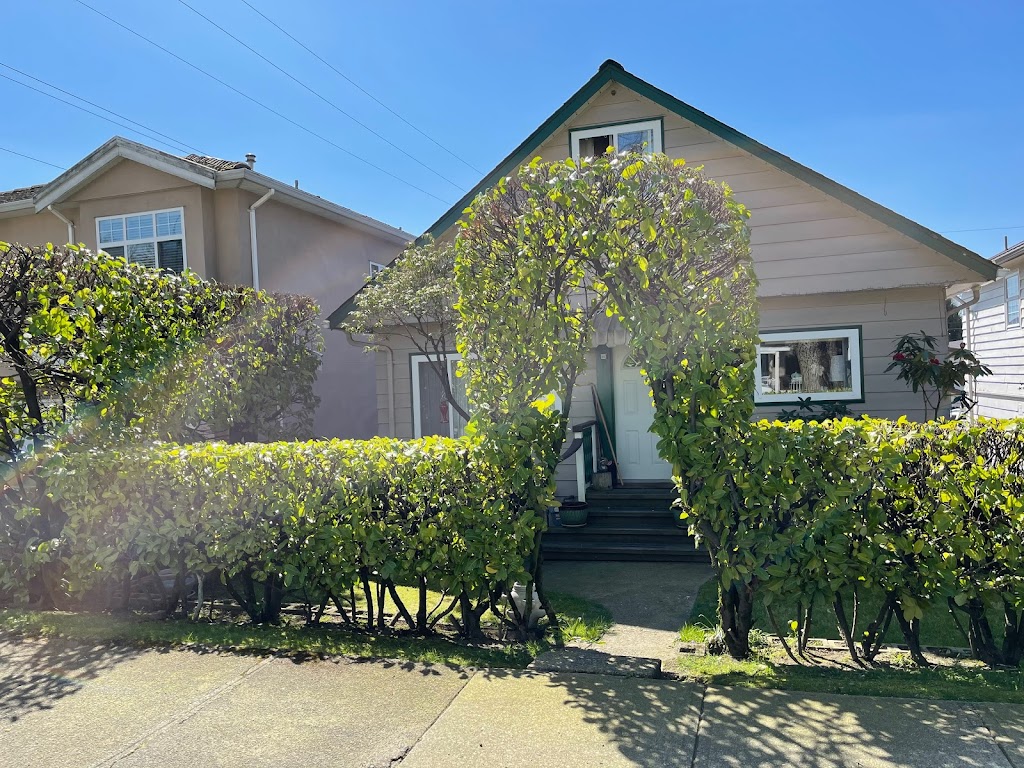 Davids Tree Service | BC Parkway, New Westminster, BC V3L 5L1, Canada | Phone: (604) 526-4850