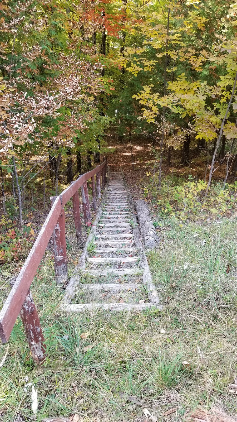 Cedar Lodge Camp | 3875 Chem. de Georgeville, Magog, QC J1X 3W2, Canada | Phone: (819) 843-2094