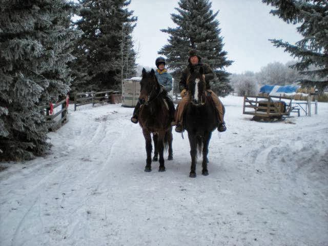 Hilltop Ranch Bed & Breakfast | AB-22, Foothills No. 31, AB T3Z 2T4, Canada | Phone: (403) 931-3744