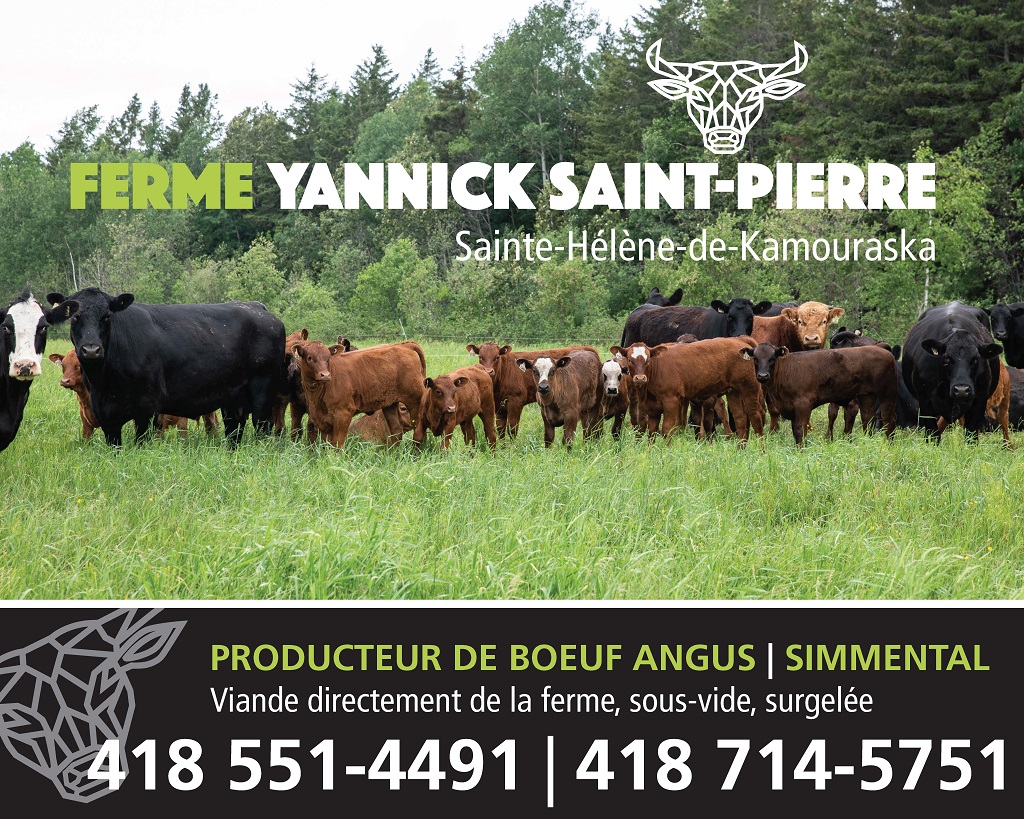 Ferme yannick St-Pierre | 311 Rue Principale Est, Sainte-Hélène-de-Kamouraska, QC G0L 3J0, Canada | Phone: (418) 551-4491