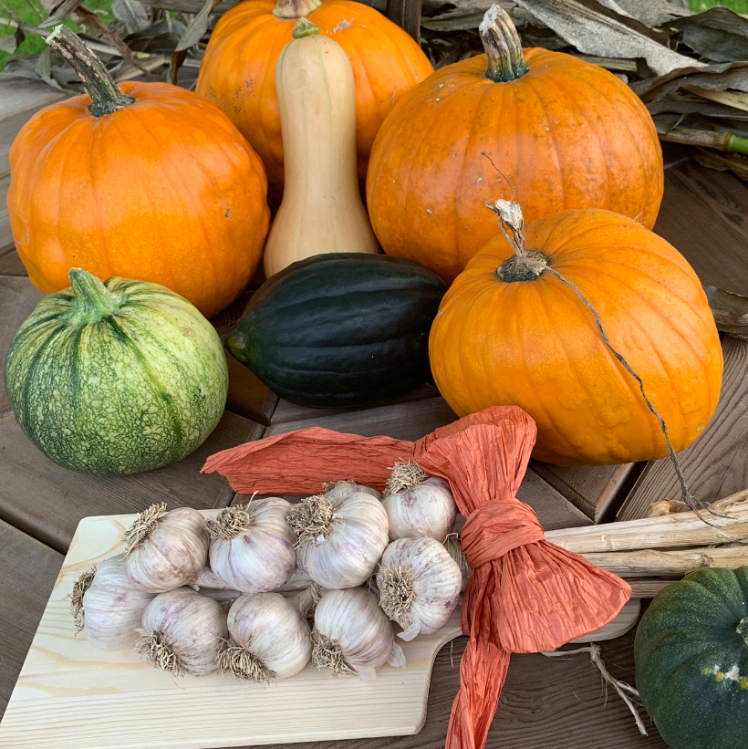Count Von Garlic | 52 Church St W, Burgessville, ON N0J 1C0, Canada | Phone: (226) 747-6559