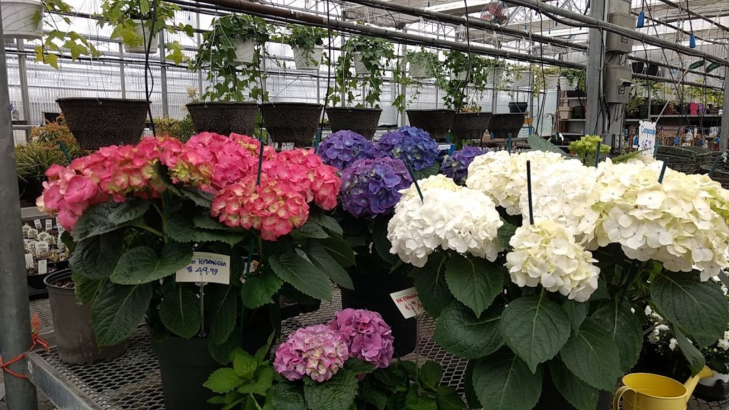 Greenwood Garden Centre 6745 Kingston Rd Scarborough On M1b 1g9 Canada