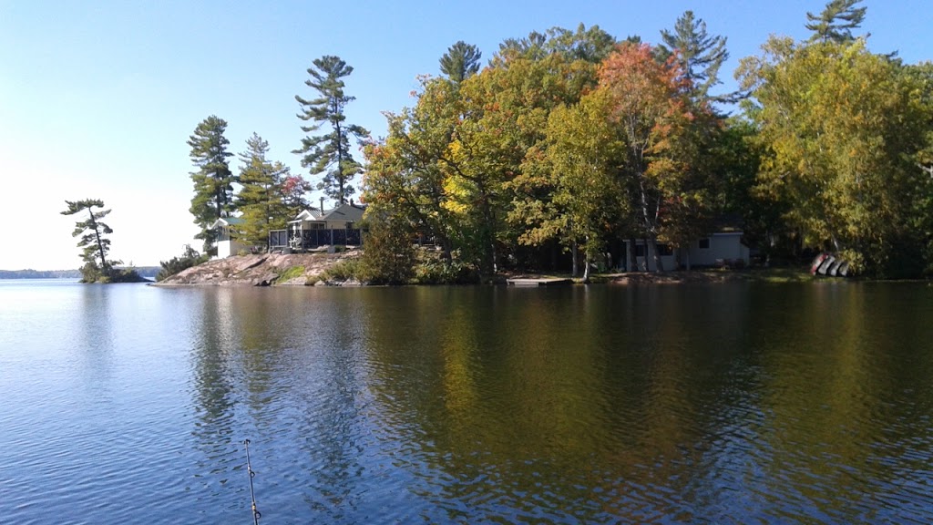 Shady Point Resorts | 3350 Buckhorn Rd, Lakefield, ON K0L 2H0, Canada | Phone: (705) 657-9922
