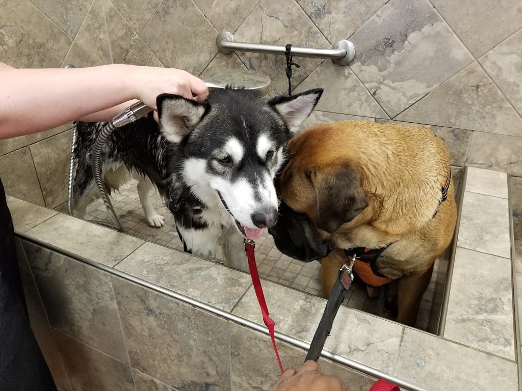 Pet Valu | 1250 Main Street North, Stittsville, ON K2S 1S9, Canada | Phone: (613) 836-6663