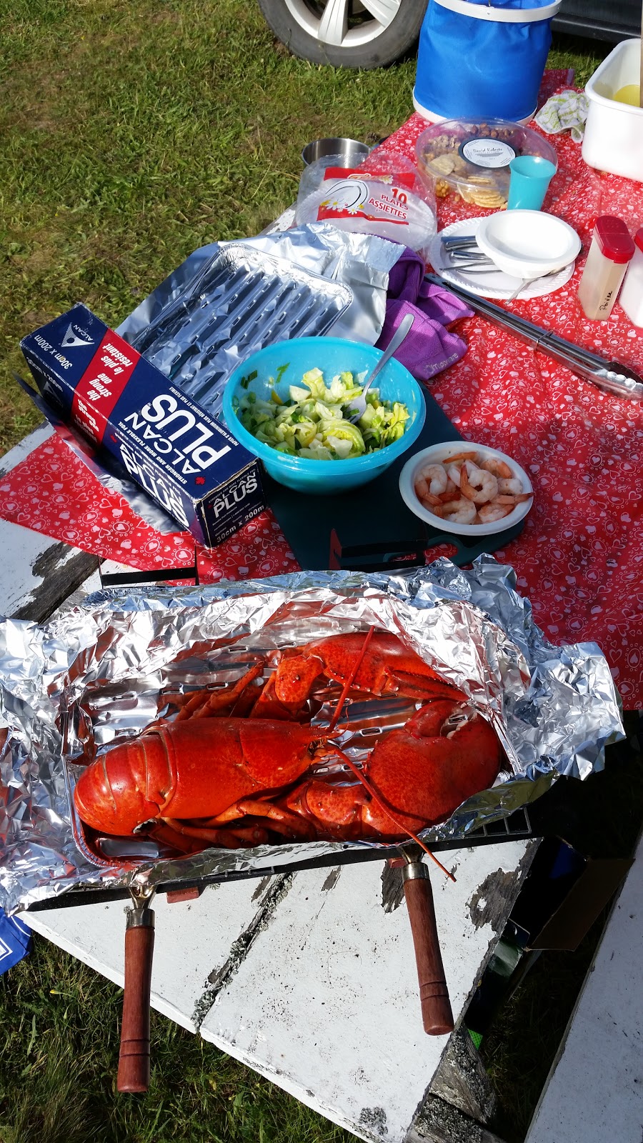 Bigfish Shediac | 30 Rue du Vestiaire, Shédiac, NB E4P 2W4, Canada | Phone: (506) 532-9215