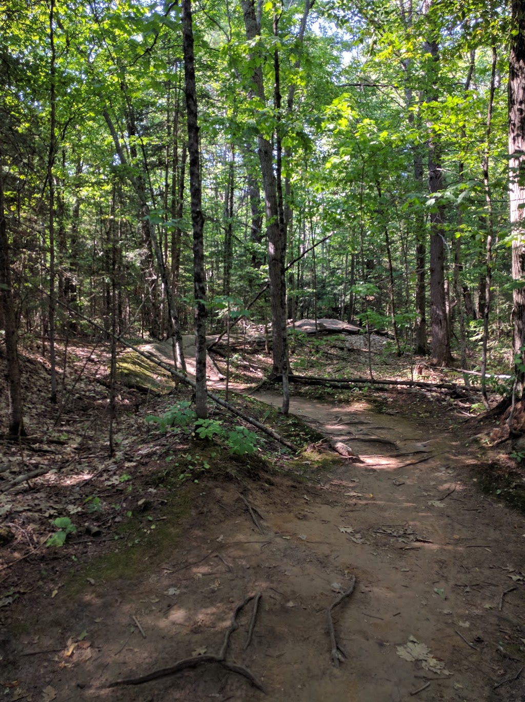 The Buckwallow Cycling Centre | 1064 Reay Rd E, Gravenhurst, ON P0C 1G0, Canada | Phone: (705) 687-8858