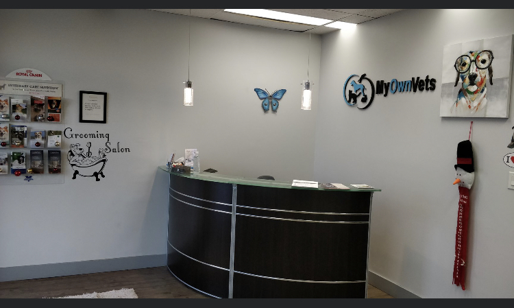 Mississauga Spay and Neuter Clinic | 6-5120 Dixie Rd #6, Mississauga, ON L4W 4J7, Canada | Phone: (905) 282-0002