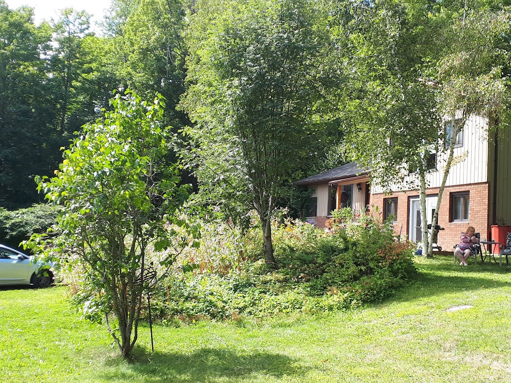 Reflection B&B | 12612 ON-118, Algonquin Highlands, ON K0M 1J1, Canada | Phone: (705) 457-2119