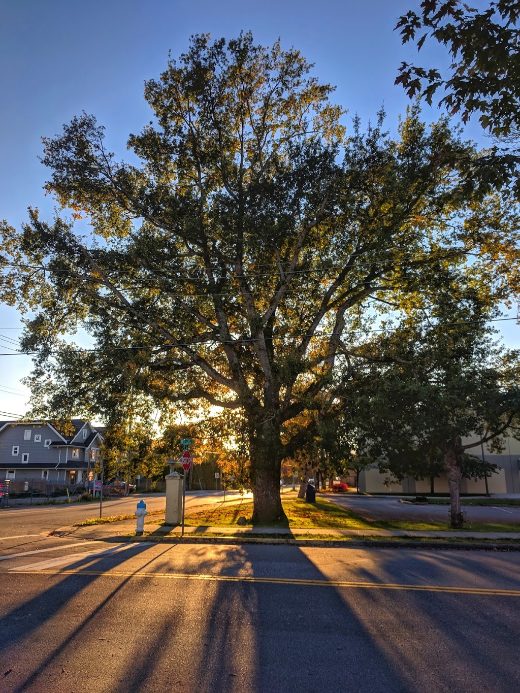 Delta Secondary School | 4615 51 St, Delta, BC V4K 2V8, Canada | Phone: (604) 946-4194