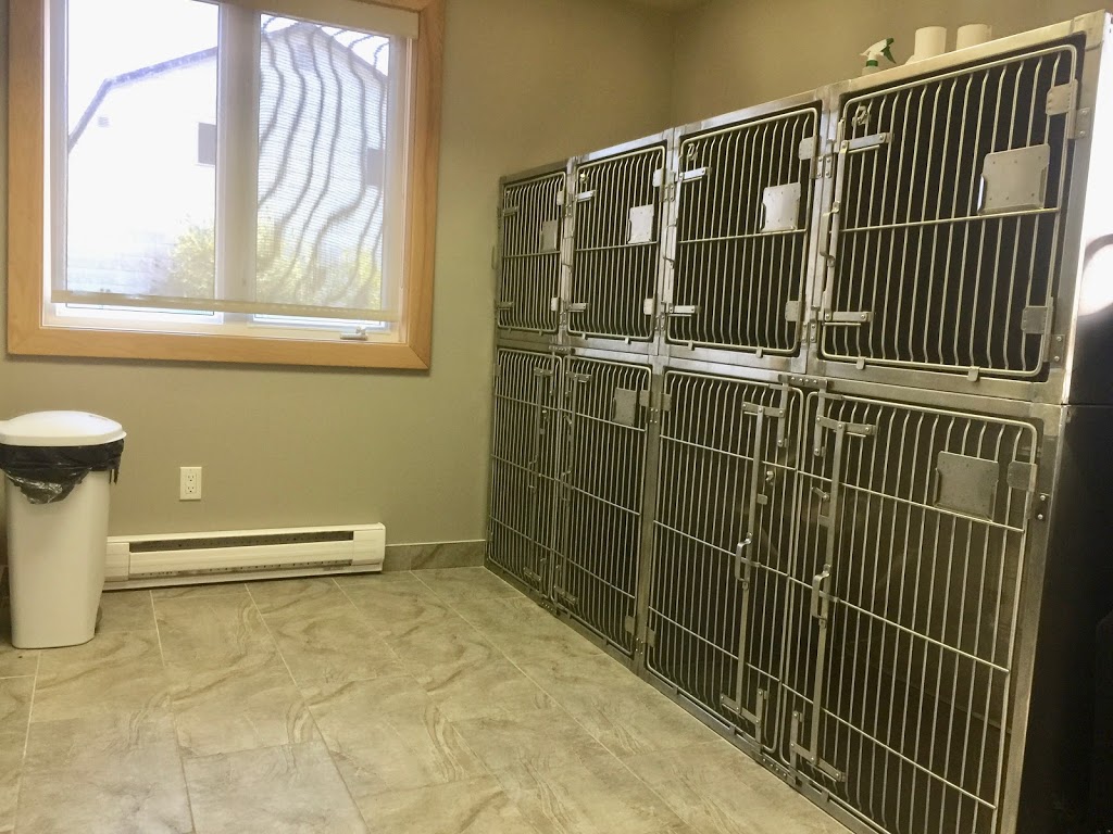 Vet-Champlain Animal Care Inc | 880 Champlain St, Dieppe, NB E1A 1P7, Canada | Phone: (506) 830-6888