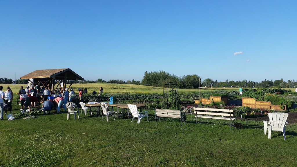 Green and Gold Community Garden | 118 St NW, Edmonton, AB T6H 2V8, Canada | Phone: (780) 492-4087