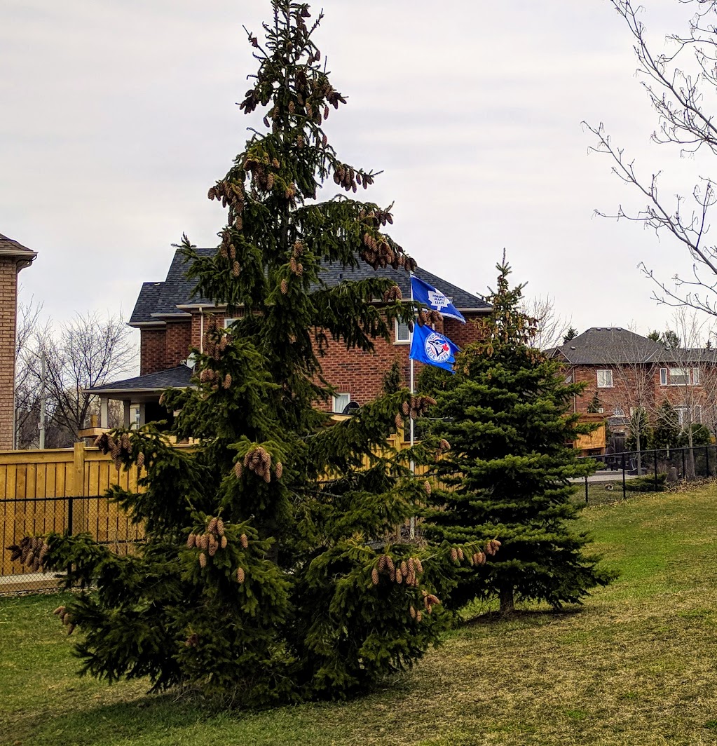 Orchard Park | 2255 Sutton Dr, Burlington, ON L7L 7K3, Canada | Phone: (905) 335-7738