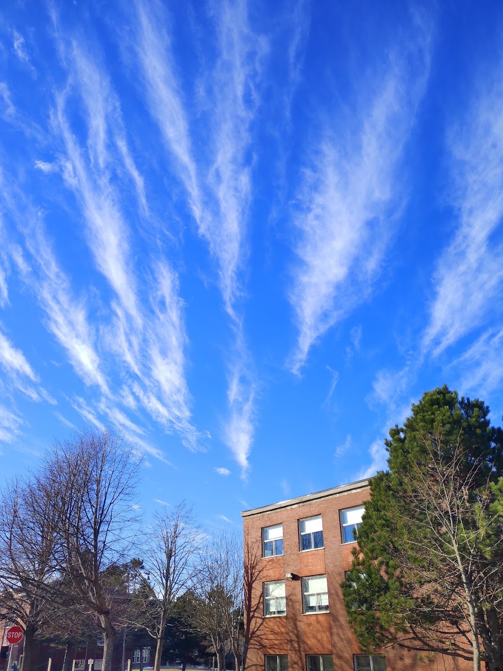 Rothesay Netherwood School | 40 College Hill Rd, Rothesay, NB E2E 5H1, Canada | Phone: (506) 847-8224