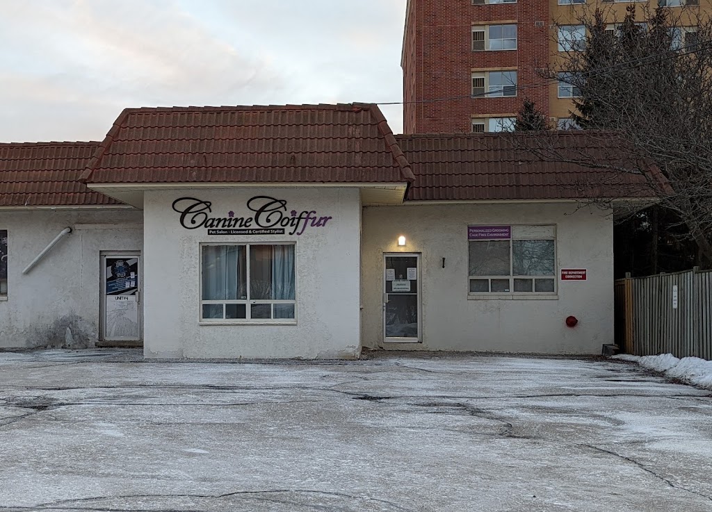 Canine Coiffur | Crumbie St, Mississauga, ON L5M 1H7, Canada | Phone: (905) 542-7387