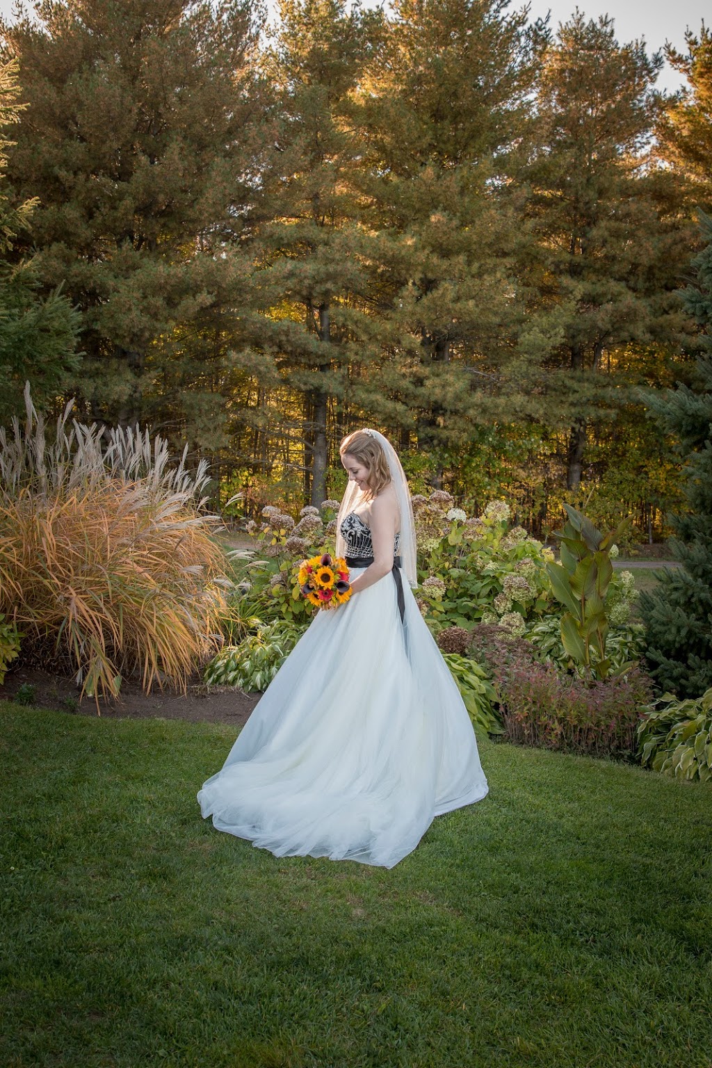 Joy in Motion Photography | 15 Harold St, Almonte, ON K0A 1A0, Canada | Phone: (613) 266-8044