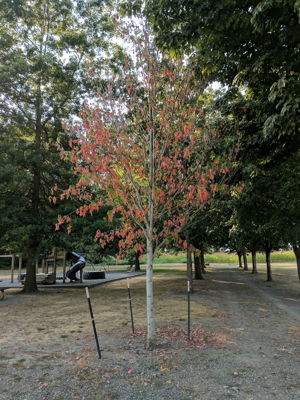 Riverside Park | 401 Park Dr, Everson, WA 98247, USA