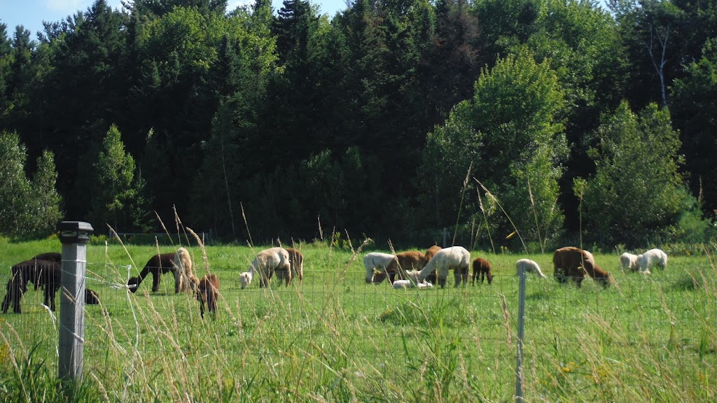 Ferme Récréative Caza | 865 QC-159, Saint-Stanislas-de-Champlain, QC G0X 3E0, Canada | Phone: (418) 328-1339