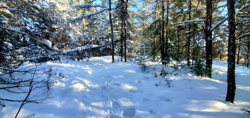 Parc Victor-Guimond | 1601 Rue Victor Guimond, Chicoutimi, QC G7J 4V4, Canada | Phone: (418) 698-3239