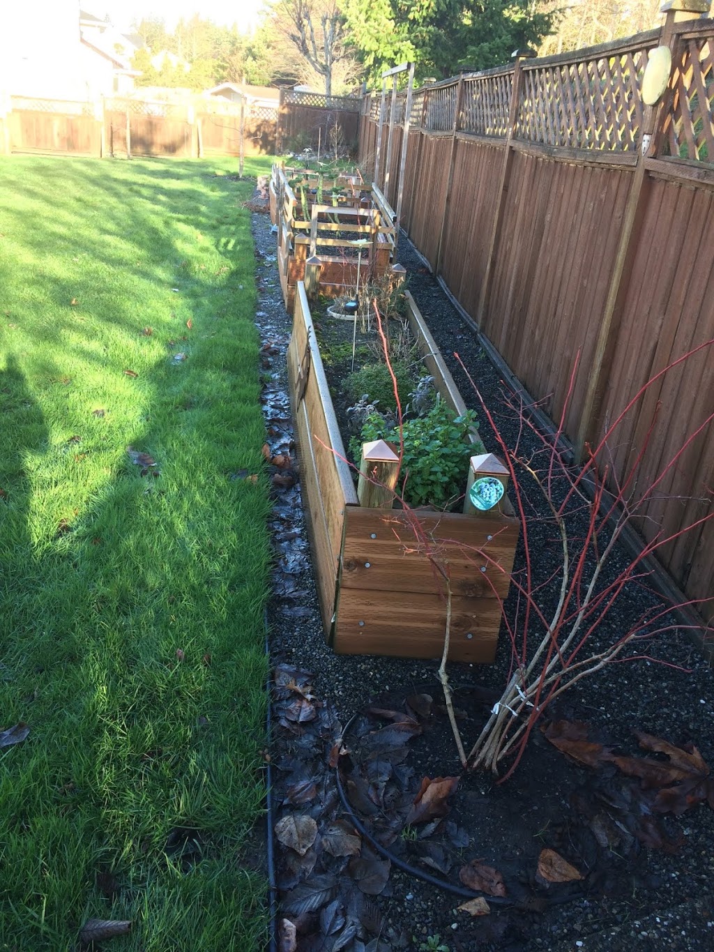 Best Rooter Services | Bellingham, WA 98229, USA | Phone: (360) 354-9981