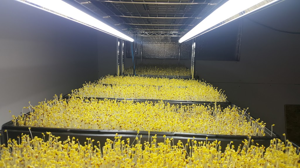 FARM FRESH CHOICE | 7712 Eifert Cres NW, Edmonton, AB T6M 0W2, Canada | Phone: (780) 802-5585