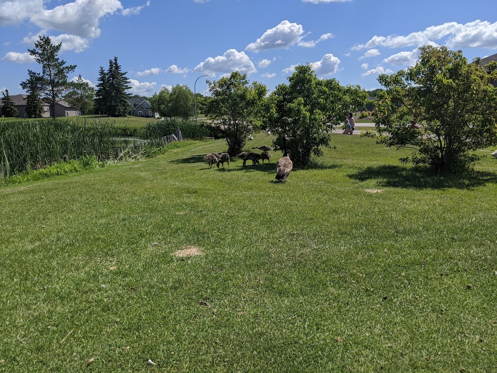 Kingswood Golf and Country Club | 28 MB-247, La Salle, MB R0G 1B0, Canada | Phone: (204) 736-4079