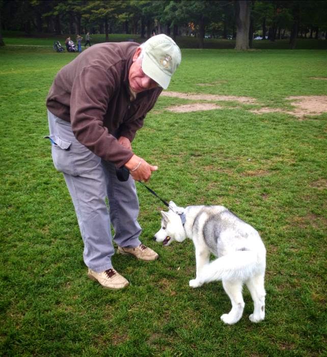 Happy Dog Obedience Training | 1340 Danforth Rd, Scarborough, ON M1J 1G2, Canada | Phone: (416) 604-2520