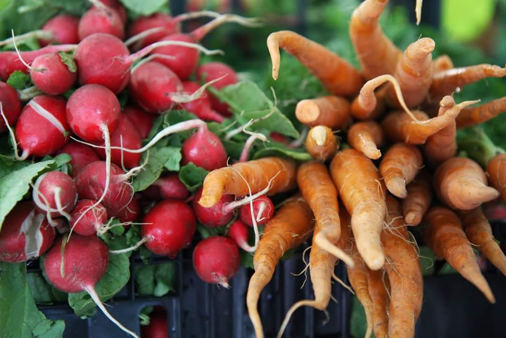 Three Hill Farm | 112 Chem. Conroy, Chapeau, QC J0X 1M0, Canada | Phone: (613) 281-4553