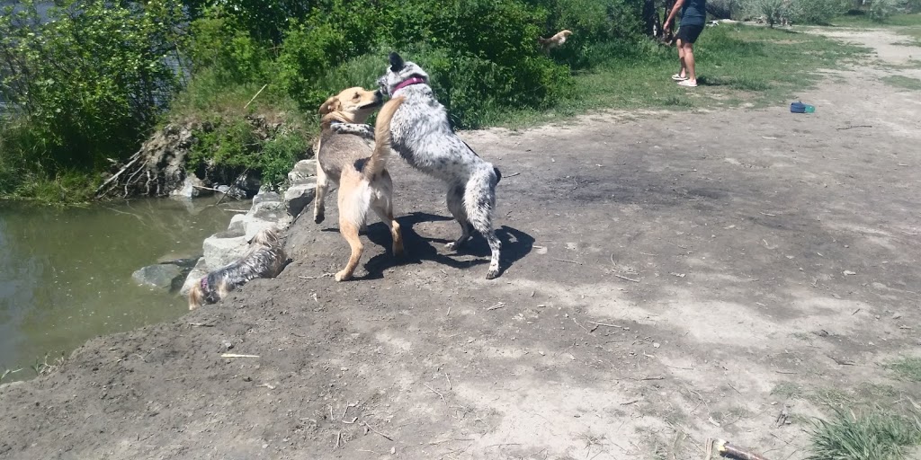 Dog Park beach | 4850-4900 Lakeside Rd, Penticton, BC V2A 8W6, Canada