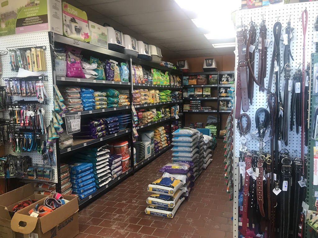 Pattes et Griffes | 2700 Boulevard des Promenades, Deux-Montagnes, QC J7R 6L2, Canada | Phone: (450) 623-9999