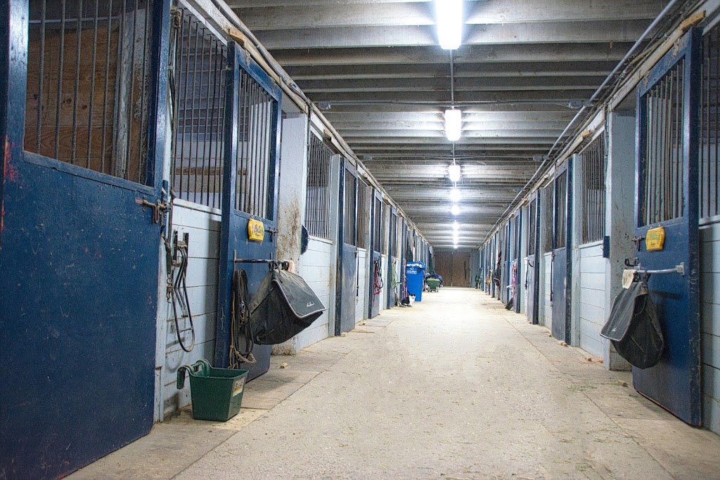 Equestrian Centre Performance Complicité | 17 Rue Marziali, Bedford, QC J0J 1A0, Canada | Phone: (514) 894-5416